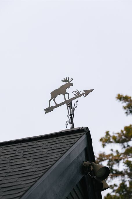 Wandering Moose gallery-88