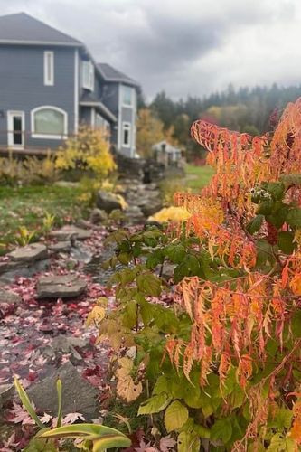 The Ridge gallery-151