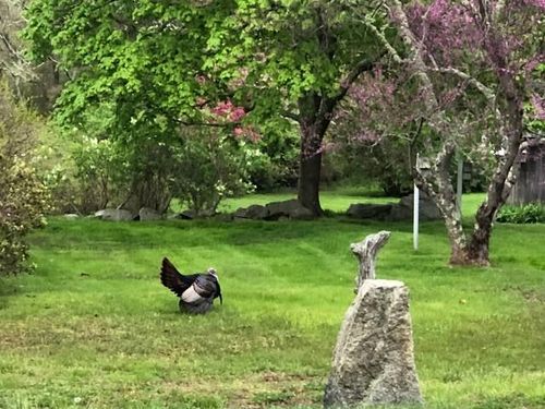 The Bursley Manor gallery-111